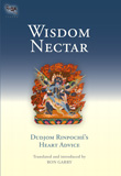 wisdomnectar_front
